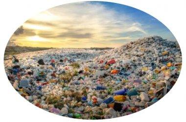 Plástico: Solução ou Problema?