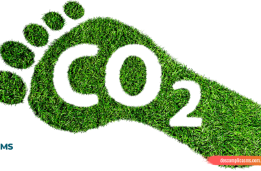 O Que é Pegada de Carbono e Como Medir: Guia Completo